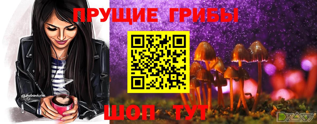 как найти   Псилоцибиновые грибы Psilocybe  Галлюциногенные грибы Psilocybine cubensis  Вход с VPN  Малоярославец 