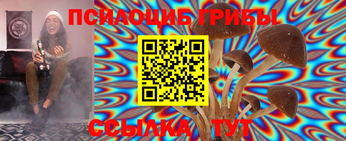 Псилоцибиновые грибы GOLDEN TEACHER Малоярославец